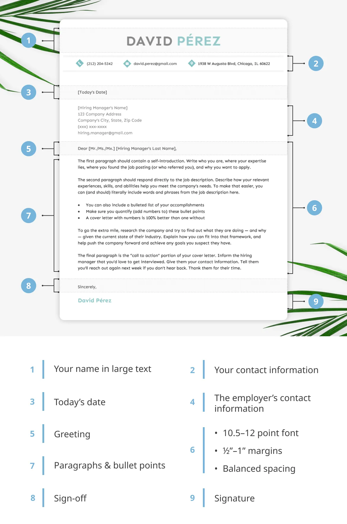 37642 body paragraphs
