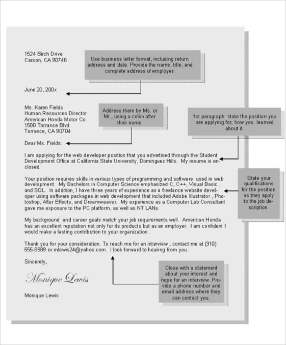 37674 entry level web developer